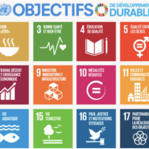 Les objectifs de développement durable