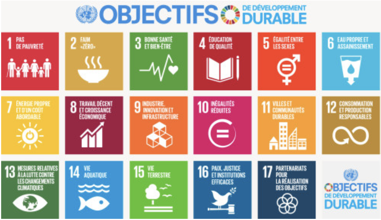 Les objectifs de développement durable